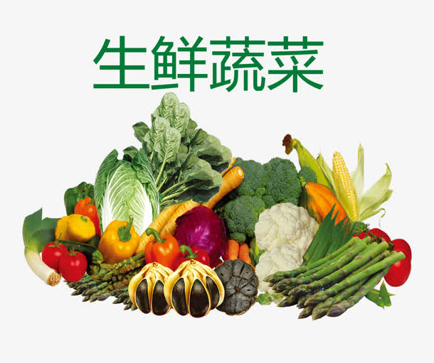 生鮮魚肉 從圖片到餐桌的品質之旅
